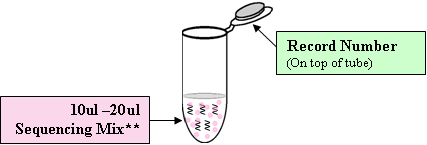 vial2
